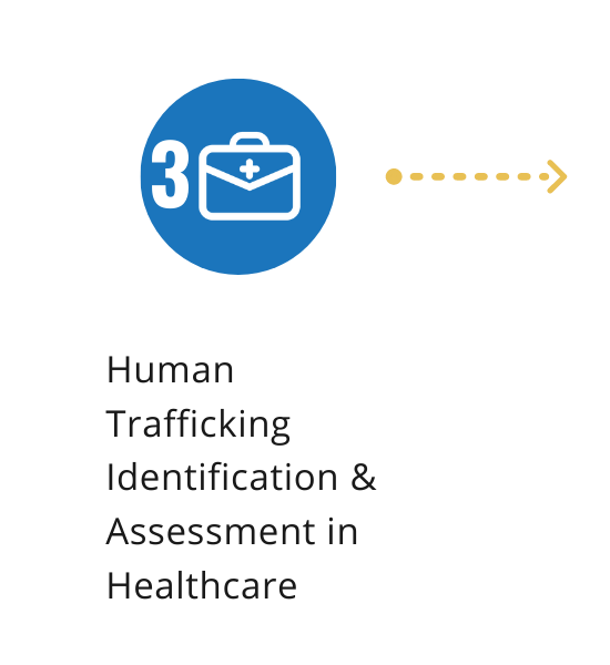 C O U RS E 3 : Human Trafficking Identifications & Assessment